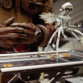 James Dodd James Dodd