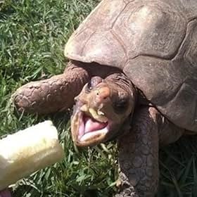 Cooper Roberts Cooper Roberts